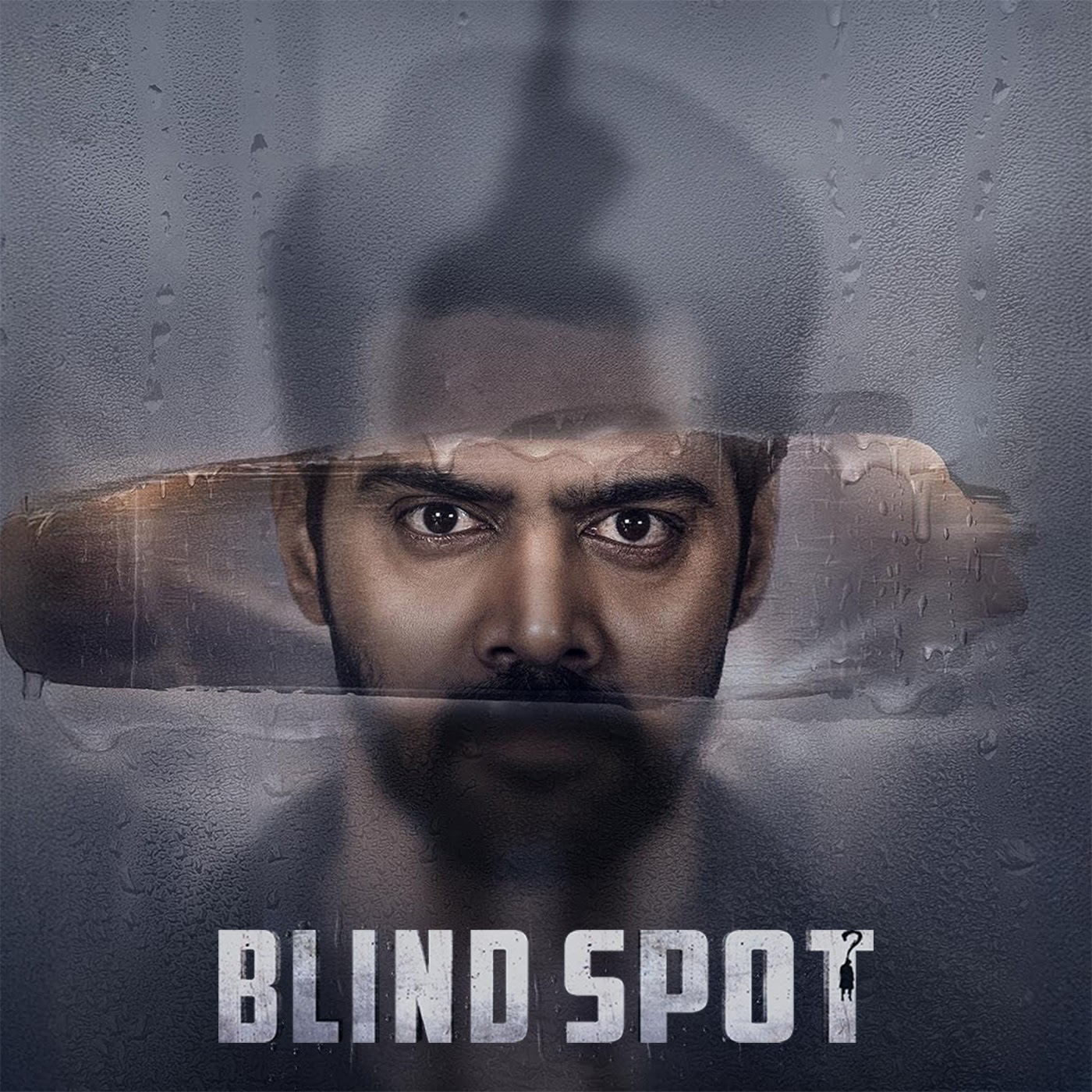 Blind Spot Full Moive Download